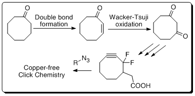 A Mild, Large-Scale Synthesis of 1,3-Cyclooctanedione: Expanding Access to Difluorinated Cyclooctyne for Copper-Free Click Chemistry