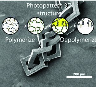 3D Photofixation Lithography in Diels–Alder Networks