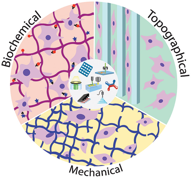 Surface Patterning of Hydrogel Biomaterials to Probe and Direct Cell-Matrix Interactions