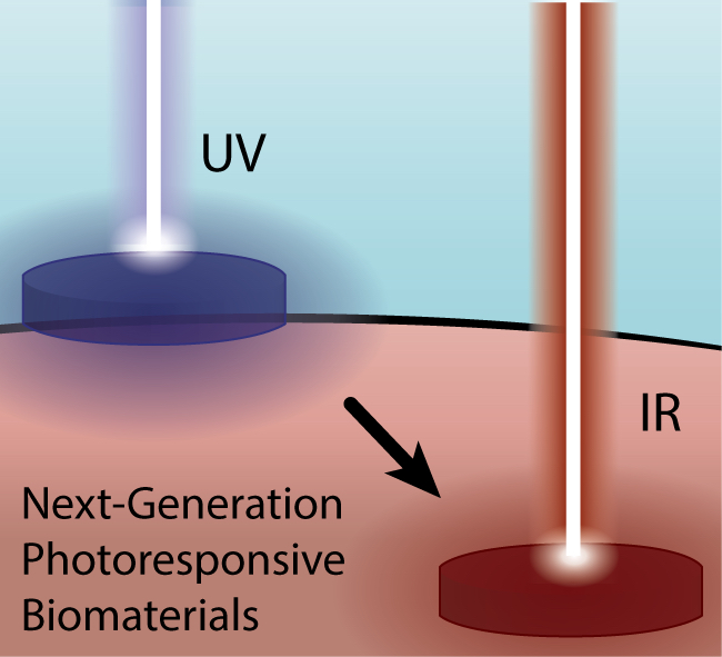 Visible Light-Responsive Dynamic Biomaterials - Going Deeper and Triggering More