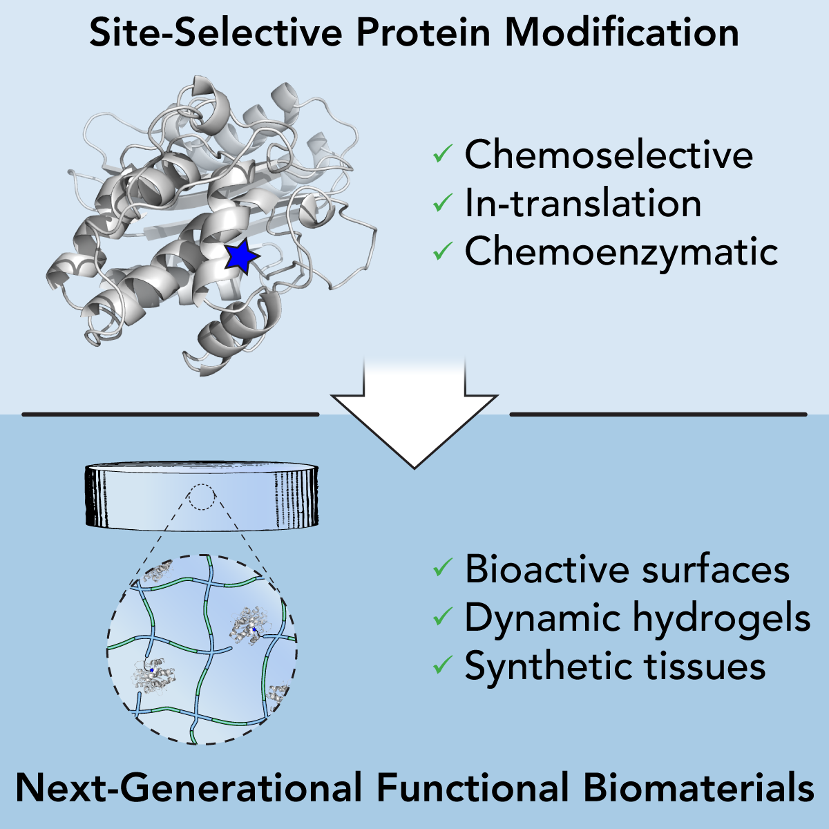 Site-Selective Protein Modification: From Functionalized Proteins to Functional Biomaterials