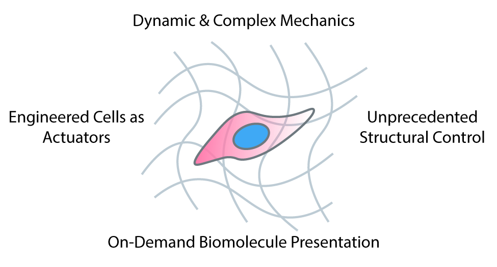 The Art of Engineering Biomimetic Cellular Microenvironments