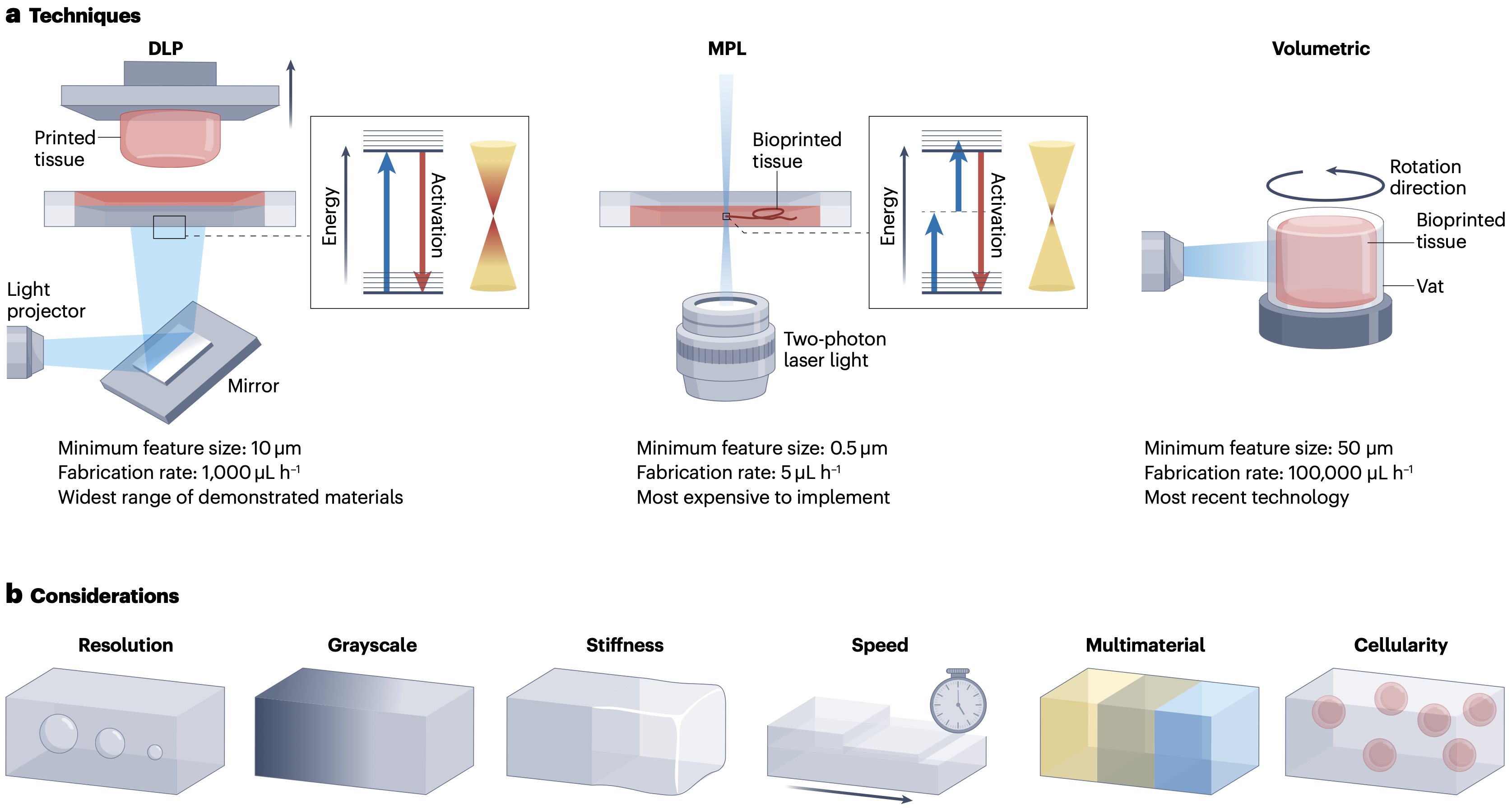 Light-based Fabrication and 4D Customization of Hydrogel Biomaterials