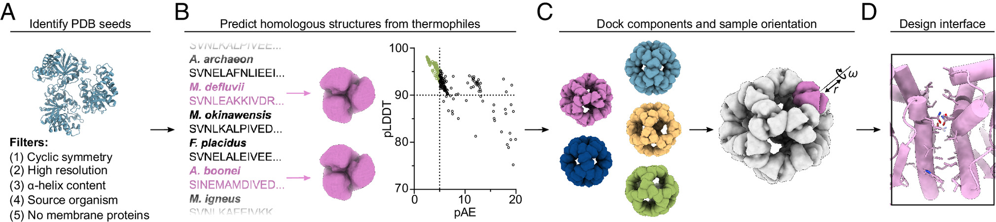 From Sequence to Scaffold: Computational Design of Protein Nanoparticle Vaccines from AlphaFold2-predicted Building Blocks