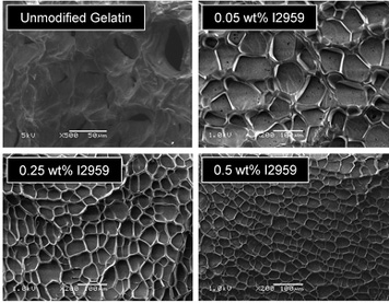 Tunable Microporous Photocrosslinking of Gelatin Macromers to Synthesize Porous Hydrogels that Promote Valvular Interstitial Cell Function
