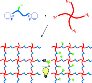 Peptide-Functionalized Click Hydrogels with Independently Tunable Mechanics and Chemical Functionality for 3D Cell Culture