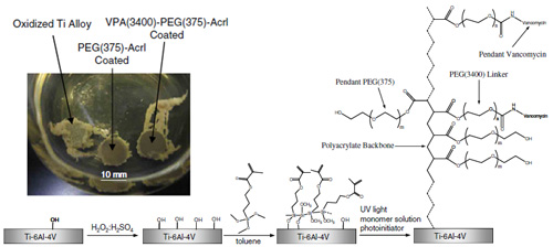 Inhibition of Staphylococcus epidermidis Biofilms using Polymerizable Vancomycin Derivatives