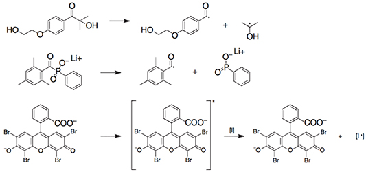 Photopolymers for Multiphoton Lithography in Biomaterials and Hydrogels