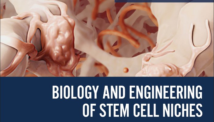 Biology and Engineering of Stem Cell Niches