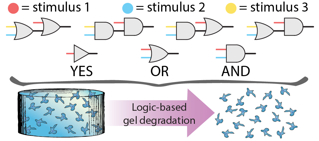 Engineered Modular Biomaterial Logic Gates for Environmentally Triggered Therapeutic Delivery