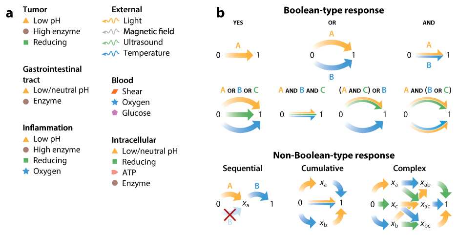 Programming Stimuli-Responsive Behavior into Biomaterials