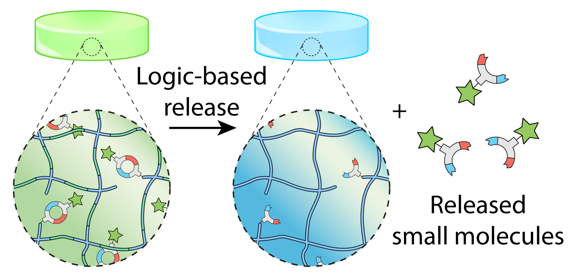 Logical Stimuli-Triggered Delivery of Small Molecules from Hydrogel Biomaterials