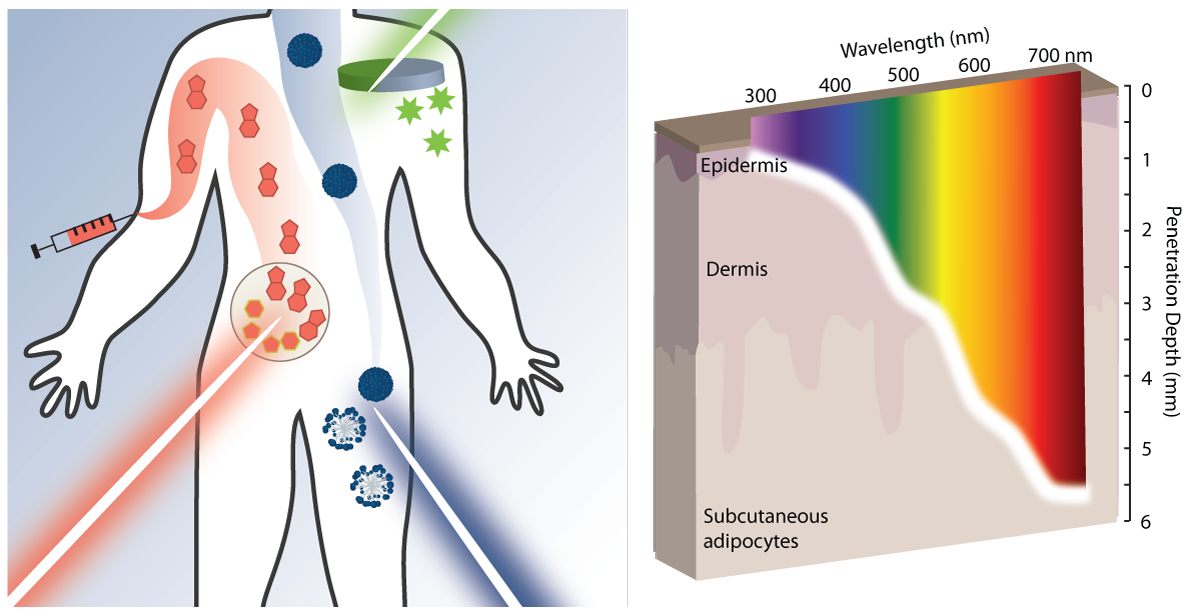 Targeting Drug Delivery with Light: A Highly Focused Approach