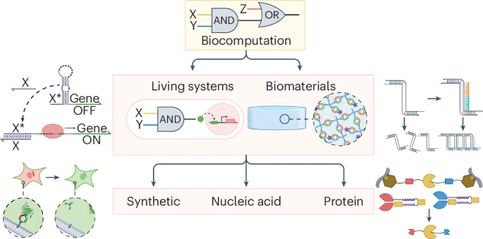 Engineering Biocomputability in Living and Material Systems