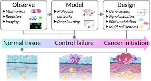 Integrating Technologies for Synthetic, Systems, and Spatial Approaches in Cancer Research