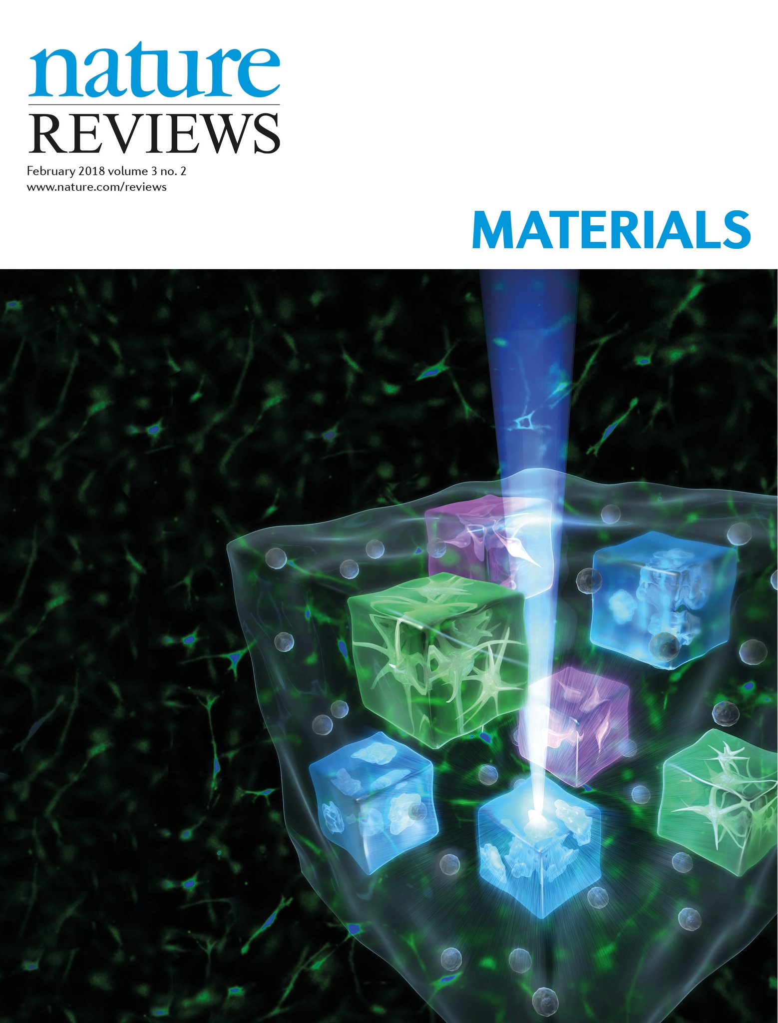 Ruskowitz 2018 Nature Revies Materials Cover